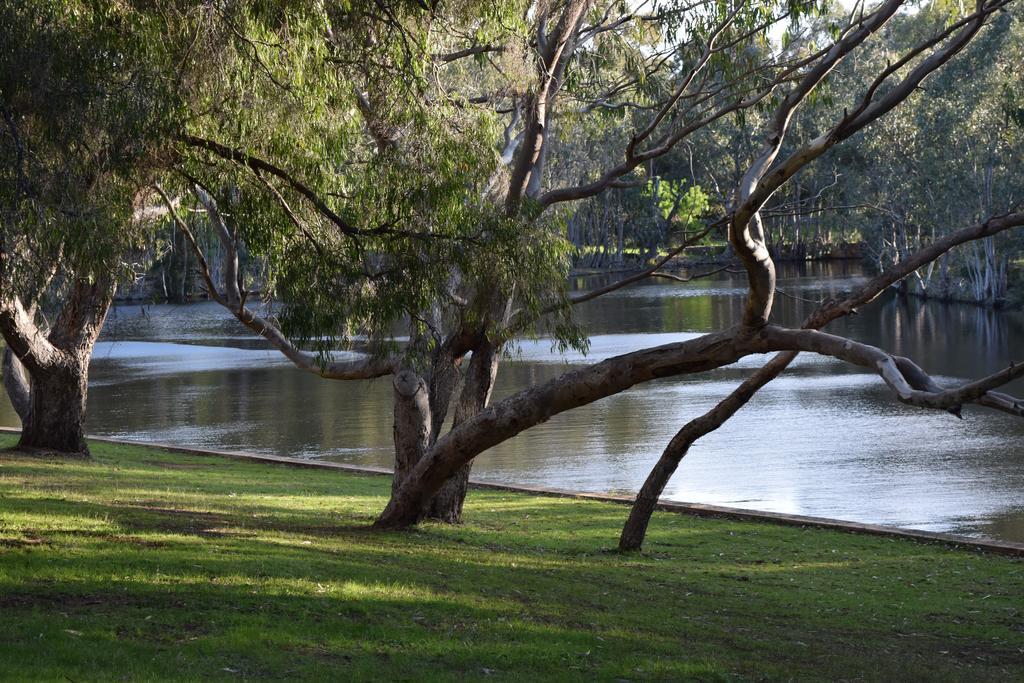 Bushy Lake Chalets Margaret River المظهر الخارجي الصورة