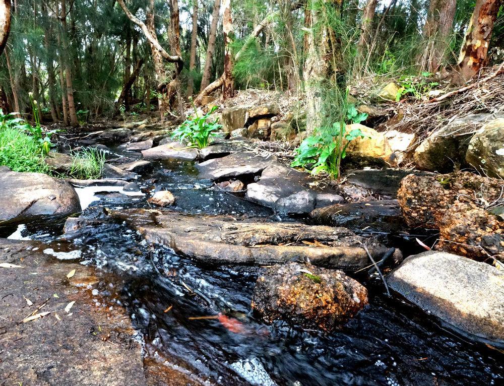 Bushy Lake Chalets Margaret River المظهر الخارجي الصورة