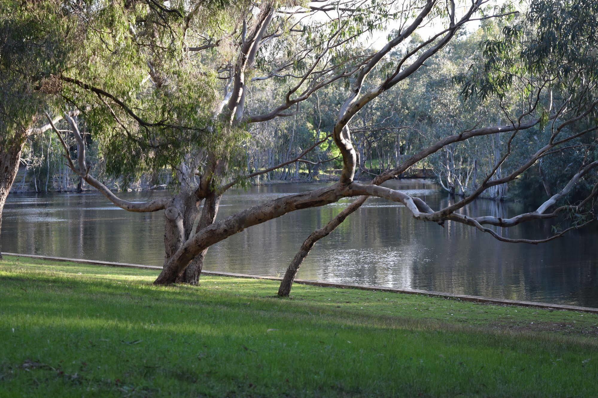 Bushy Lake Chalets Margaret River المظهر الخارجي الصورة